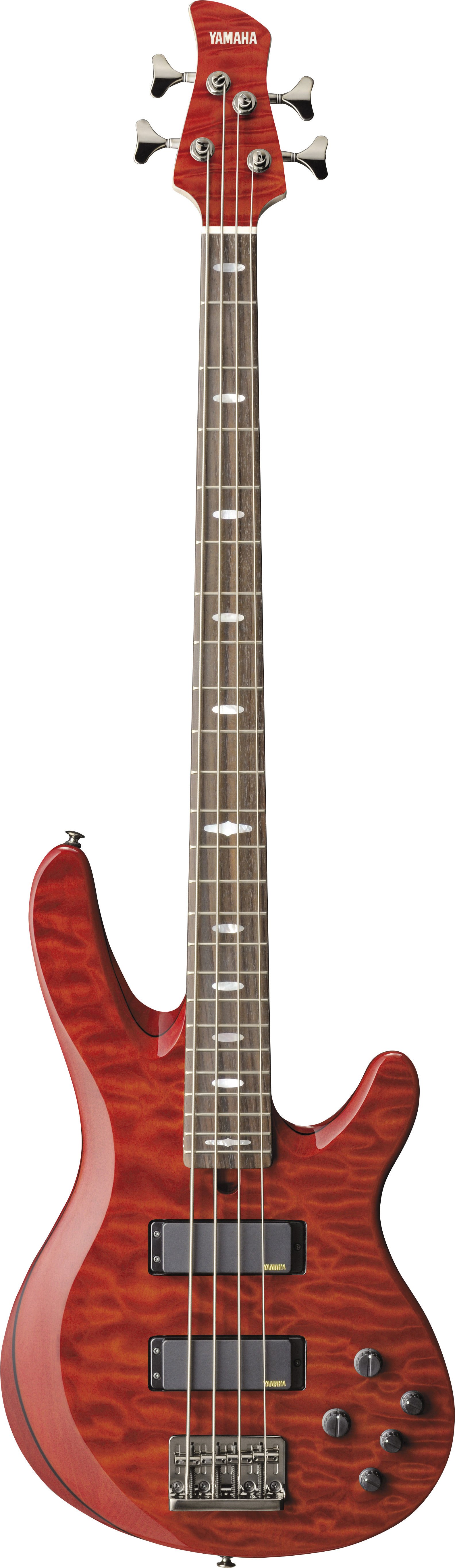 TRB - Overview - Electric Basses - Guitars, Basses, & Amps
