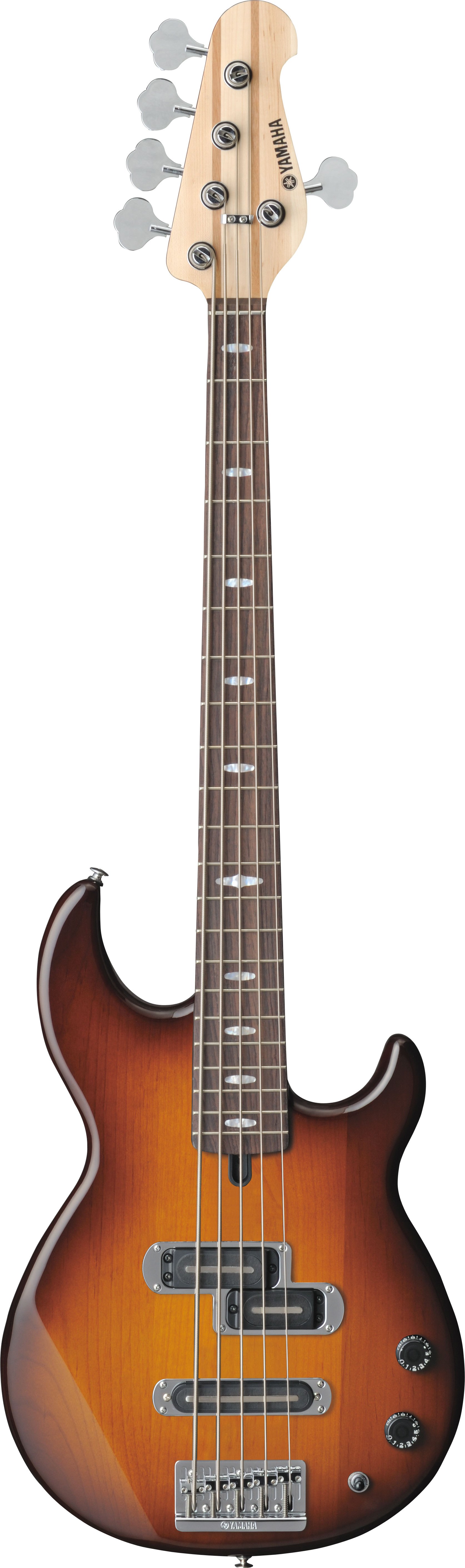 BB - Overview - Electric Basses - Guitars, Basses, & Amps