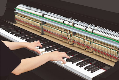 1. Action with improved touch and new pedals offer even more realistic acoustic grand piano feel