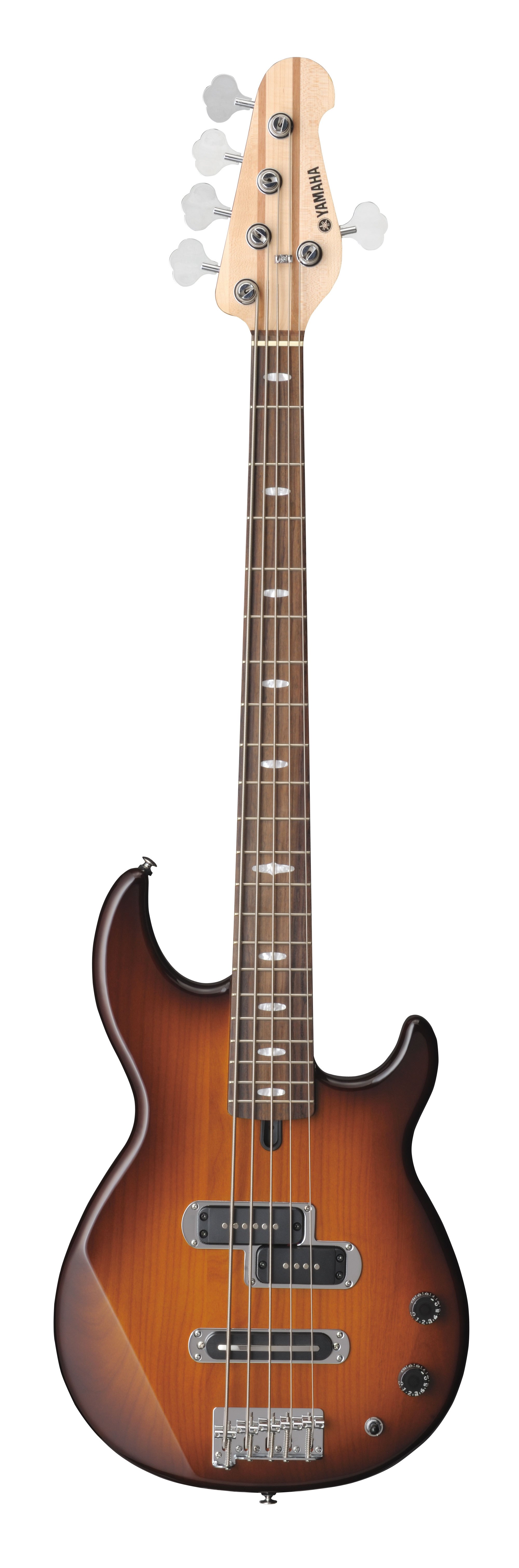 BB - Overview - Electric Basses - Guitars, Basses, & Amps