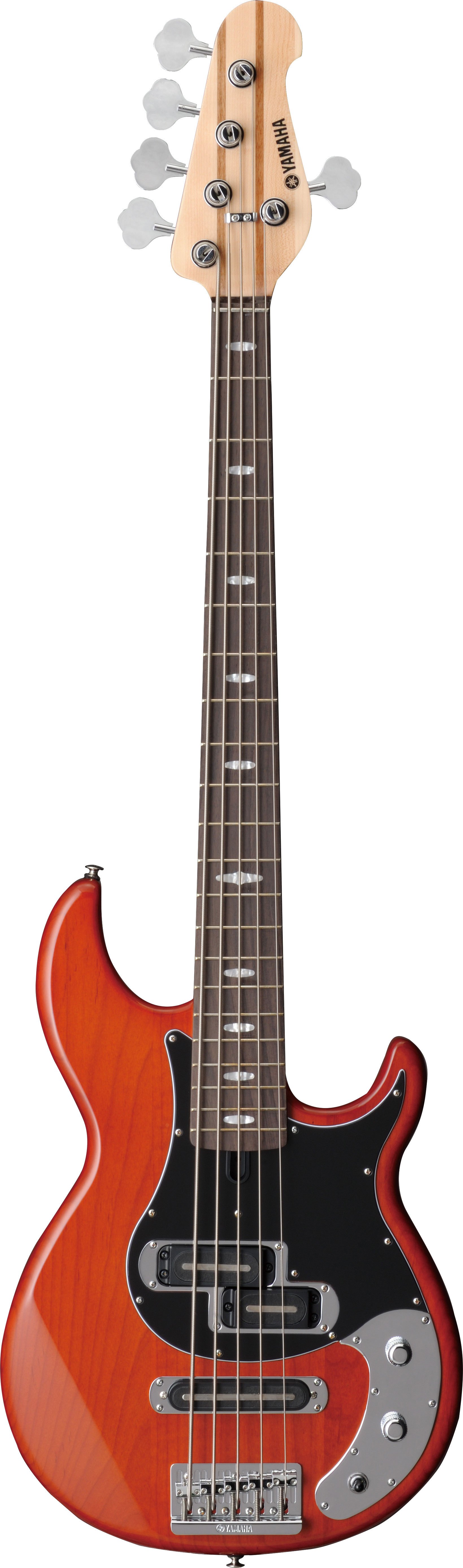 BB - Overview - Electric Basses - Guitars, Basses, & Amps 