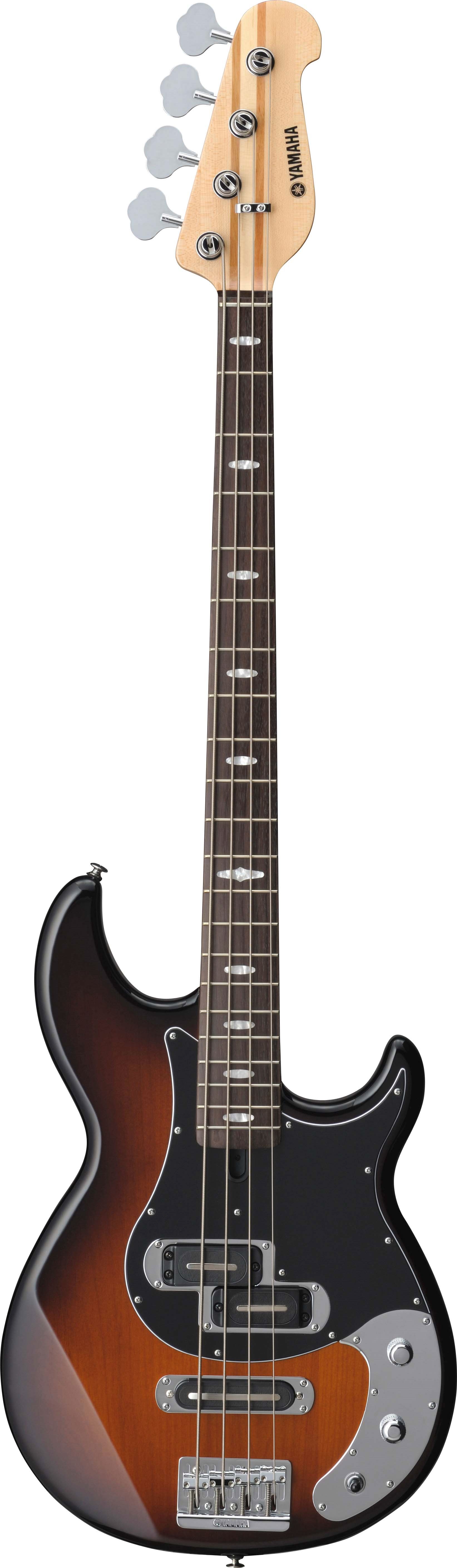 BB - Overview - Electric Basses - Guitars, Basses, & Amps