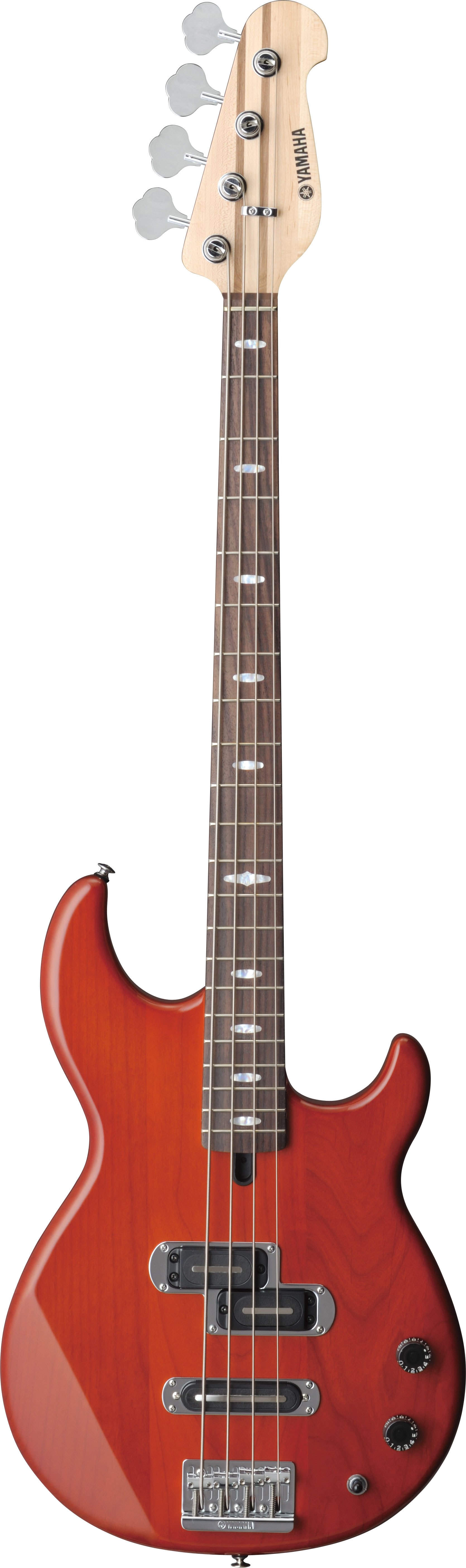 BB - Overview - Electric Basses - Guitars, Basses, & Amps 