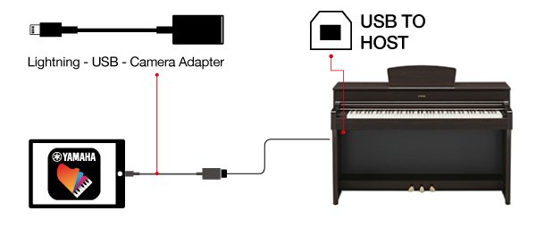 yamaha arius usb to host