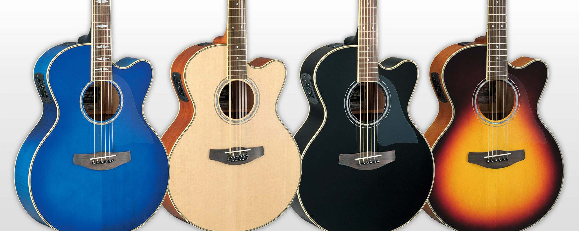 CPX - Overview - Acoustic Guitars - Guitars, Basses, & Amps