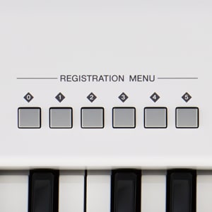 ELB-02 - Overview - Electone - Keyboard Instruments - Musical