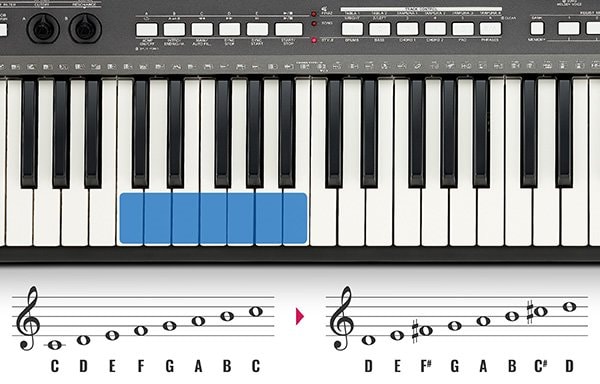 The transpose function makes sure you're always singing in the right key!
