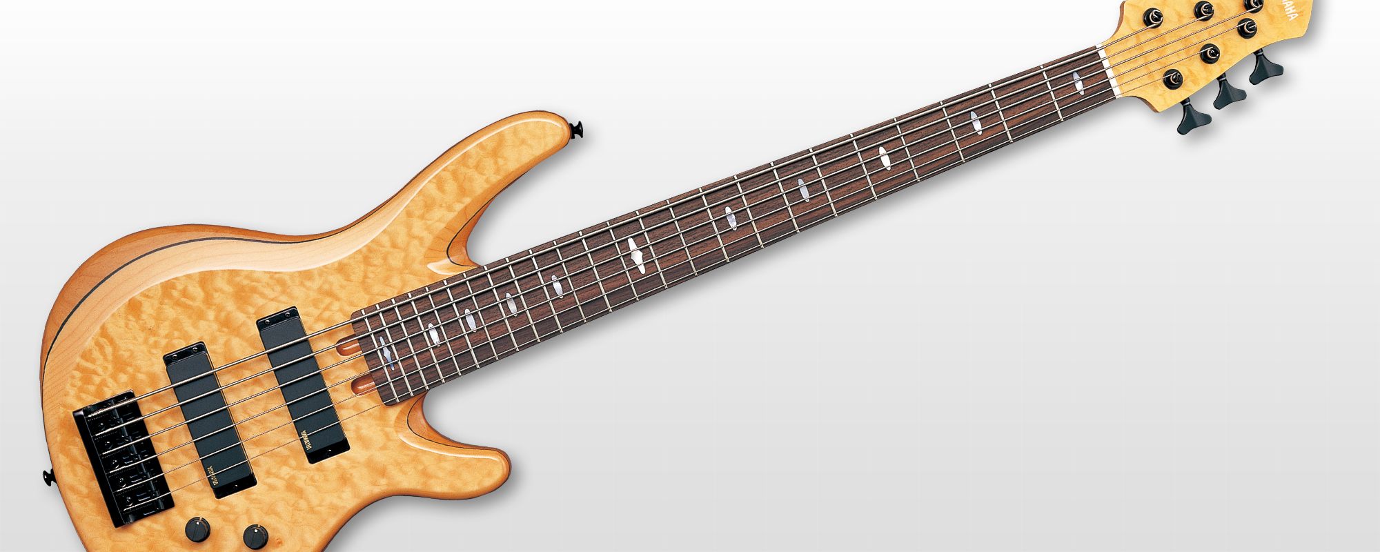 TRB - Overview - Electric Basses - Guitars, Basses, & Amps 